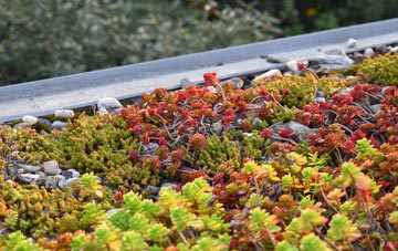the cost of Lea End green roof installation