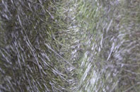 Lea End fibreglass roof work